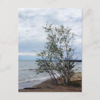 Lake Superiorはがき ポストカード