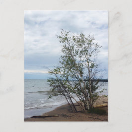 Lake Superiorはがき ポストカード