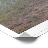 Lake Tahoe,カリフォルニア州by Bierstadt (0102a) ポスター (角)