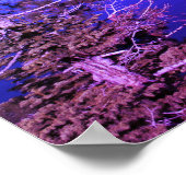 Lake Tahoe California Scenery Photograph ポスター (角)