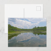 Lake View かわいらし Near Tallahassee Florida ポストカード (正面/裏面)