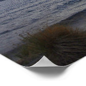 Lake Wakatipu at Sunset, Queenstown, NZ ポスター (角)