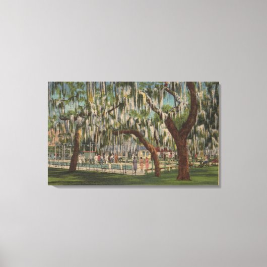 Lake Wales, FL – シャフルボードの屋外ビュー キャンバスプリント (正面)