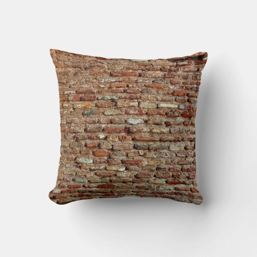 Lal Killa Indiagedの古代のテクスチャレンガの壁 クッション (正面)