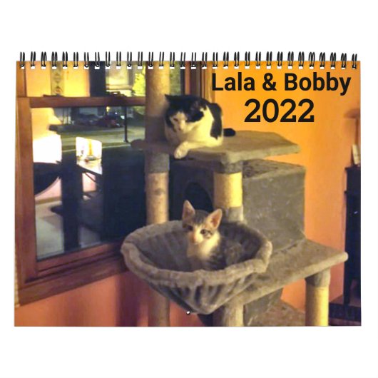 Lala & Bobby 2022猫カレンパーソナライズされたダー カレンダー (カバー)