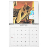 Lala & Bobby 2022猫カレンパーソナライズされたダー カレンダー (3月 2027)