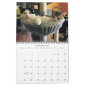 Lala & Bobby 2022猫カレンパーソナライズされたダー カレンダー (1月 2027)