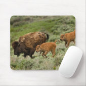 Lamarの谷の小型スタンピード マウスパッド (マウス)