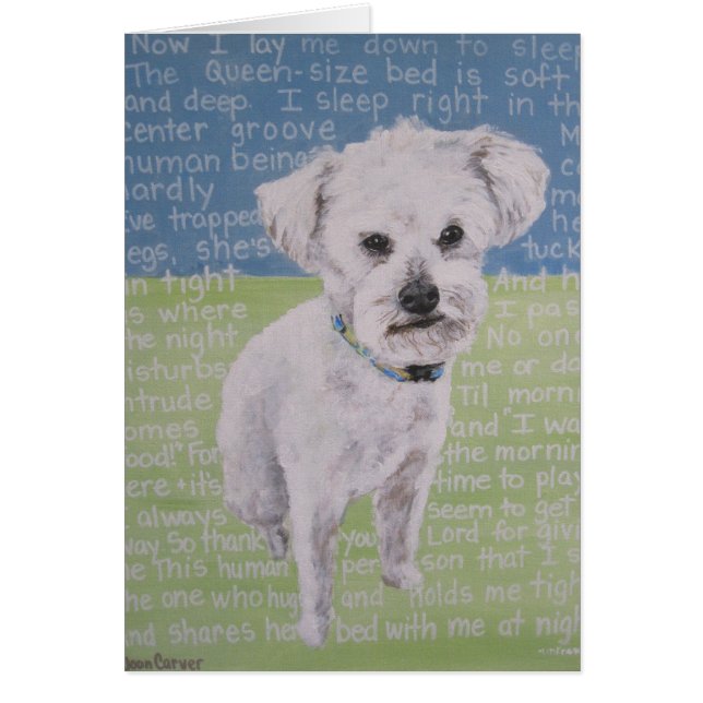 "Lambchop " (正面)