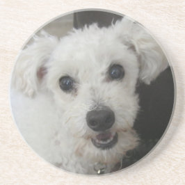 Lambchop II コースター