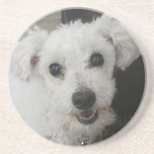 Lambchop II コースター (正面)