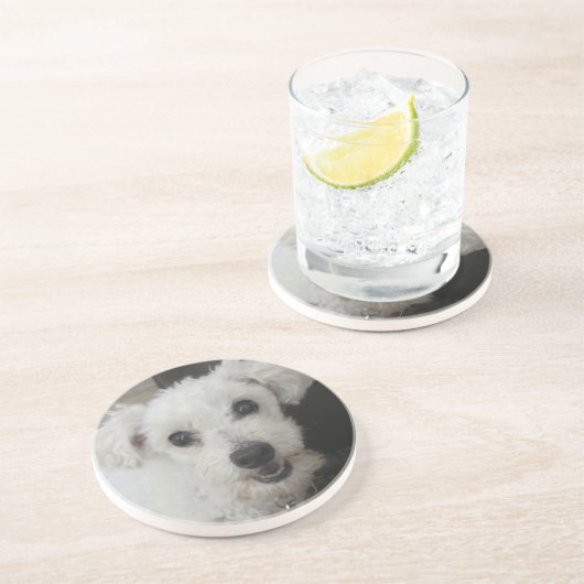 Lambchop II コースター (側面)