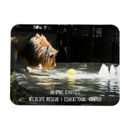 Lambert – フレキシブルフォトマグネット マグネット