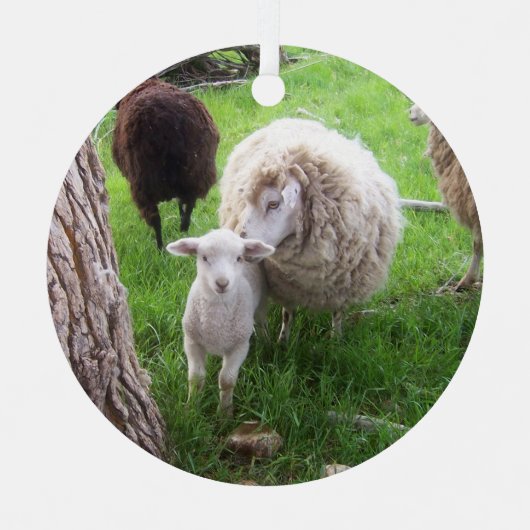 LambsとEwes Cuenessの定義 メタルオーナメント (正面)