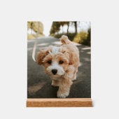 Lamina con foto de perro bonito tierno アクリルサイン (正面)