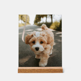 Lamina con foto de perro bonito tierno アクリルサイン