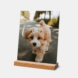 Lamina con foto de perro bonito tierno アクリルサイン