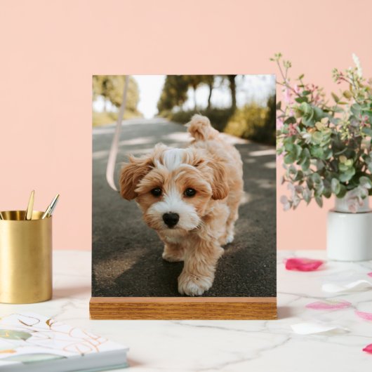 Lamina con foto de perro bonito tierno アクリルサイン (ウェディング)