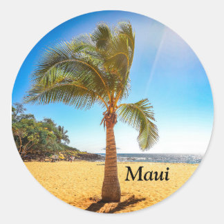 Lanai Hawaiiで撮影されたヤシの木のステッカー ラウンドシール