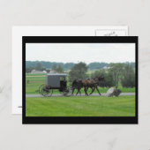 Lancaster Countyで夏を過ごす~ 72 ポストカード (正面/裏面)