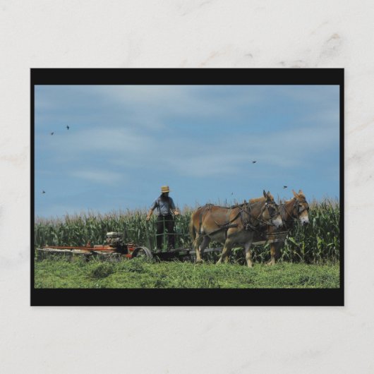 Lancaster Countyで夏を過ごす～ 73 ポストカード (正面)