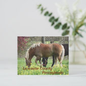 Lancaster County Pennsylvania – ポストカード (スタンド正面)