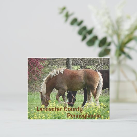 Lancaster County Pennsylvania – ポストカード (スタンド正面)