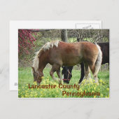 Lancaster County Pennsylvania – ポストカード (正面/裏面)