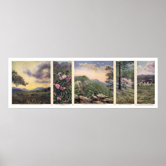 Land Of The Sky Poster 1917 ポスター (正面)