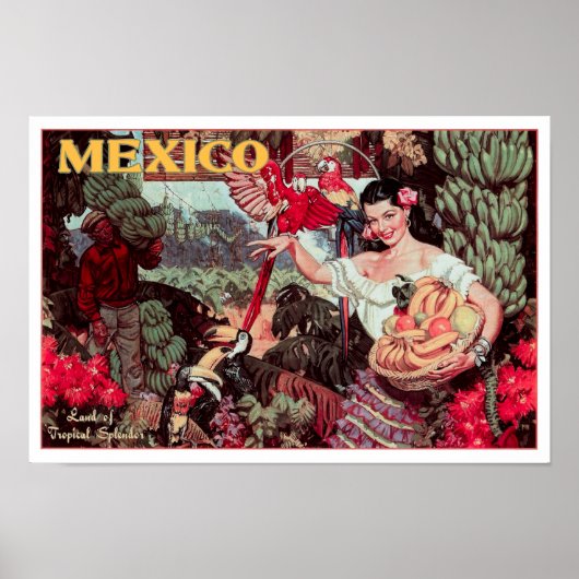 LAND of TROPICAL SPLENDOR MEXICO c. 1950 ポスター (正面)