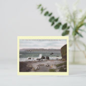 Land's End、サンフランシスコ、カリフォルニアヴィンテージ ポストカード (スタンド正面)