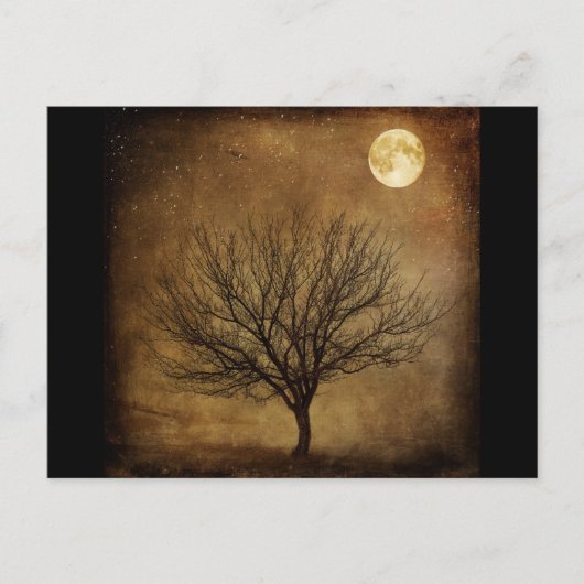 landscape-680226 DARK BROWN BACKGROUND BLACK TREE ポストカード (正面)