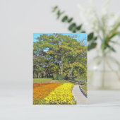 Landscape of Chinaberry and Marigold flower bed ポストカード (スタンド正面)