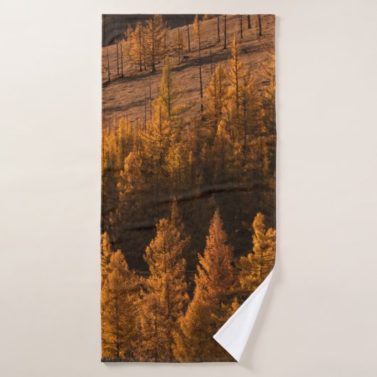 LANDSCAPE PHOTOGRAPHY OF BROWN-LEAFED TREES バスタオル (バスタオル)