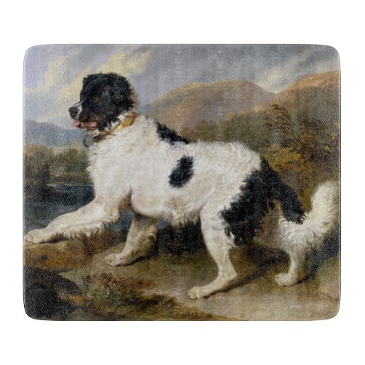 Landseer Newfoundland Dog （白黒の動物） カッティングボード (正面)