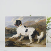 Landseer Newfoundland Dog （白黒の動物） カード (スタンド正面)