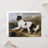 Landseer Newfoundland Dog （白黒の動物） カード (正面/裏面インサイチュ)