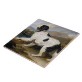 Landseer Newfoundland Dog (白黒の動物) タイル (側面)