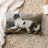 Landseer Newfoundland Dog （白黒の動物） ランバークッション (ブランケット)