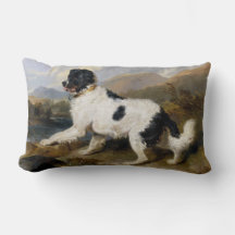 Landseer Newfoundland Dog （白黒の動物）