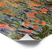 Lane in the Poppy Field by Claude Monet ポスター (コーナー)