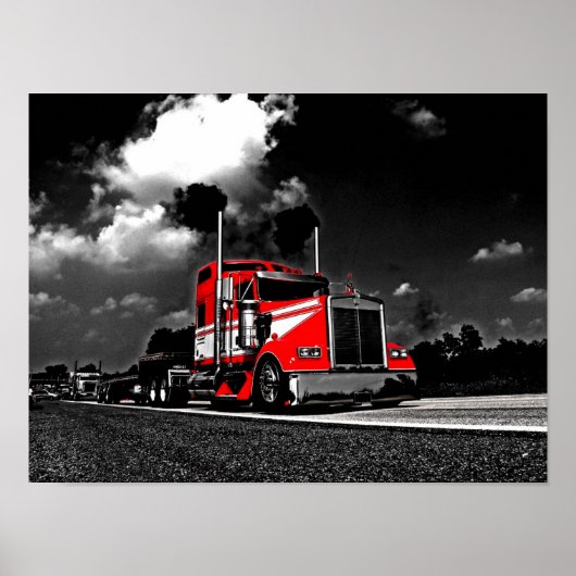 Lanita Rollinの編集ポスター ポスター (正面)