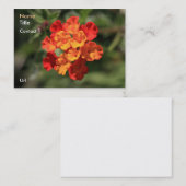 Lantanaの名刺 名刺 (正面/裏面)