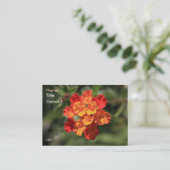 Lantanaの名刺 名刺 (スタンド正面)