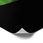 Lantana Flowers Poster,Print ポスター (角)