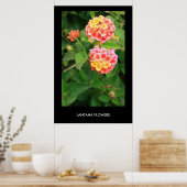 Lantana Flowers Poster,Print ポスター (キッチン)