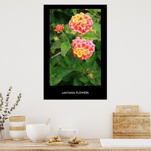 Lantana Flowers Poster,Print ポスター (キッチン)
