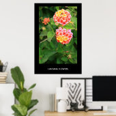 Lantana Flowers Poster,Print ポスター (ホームオフィス)