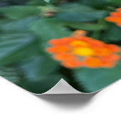 Lantana Poster ポスター (角)