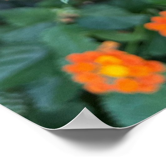 Lantana Poster ポスター (角)